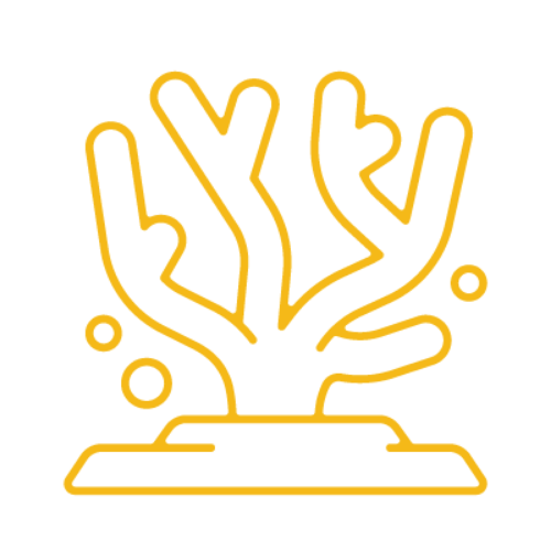 Icône des Vie marine saine